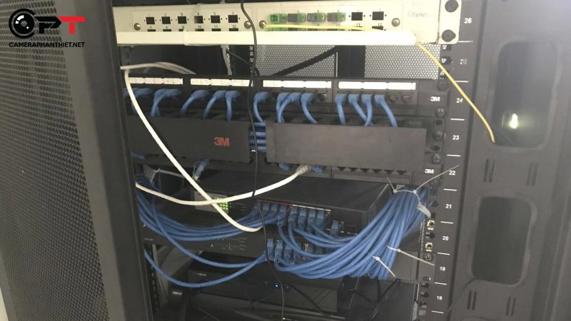 camera phan thiết chúc mừng năm mới 2021 (năm Tân Sửu) - 2455