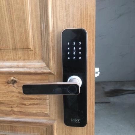 Cửa vân tay mở khóa từ xa qua app LAFFER LX08 chuyên dụng cho cửa gỗ - 3882