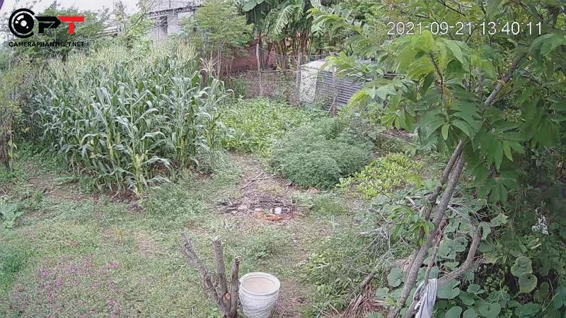 Cách chọn vị trí lắp đặt camera cho hình ảnh đẹp sắt nét - 2394