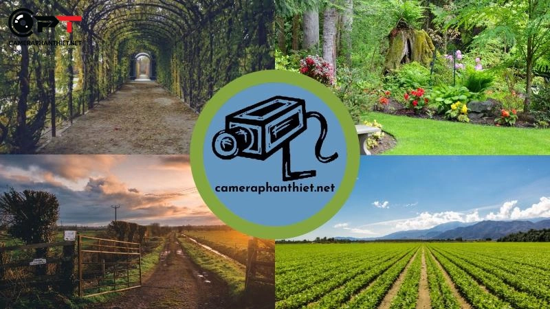 Lắp camera cho nhà vườn, trang trại| Lắp camera Bình Thuận