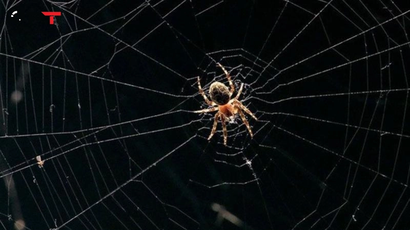 Những kinh nghiệm lắp camera ngoài trời cần biết - 2614