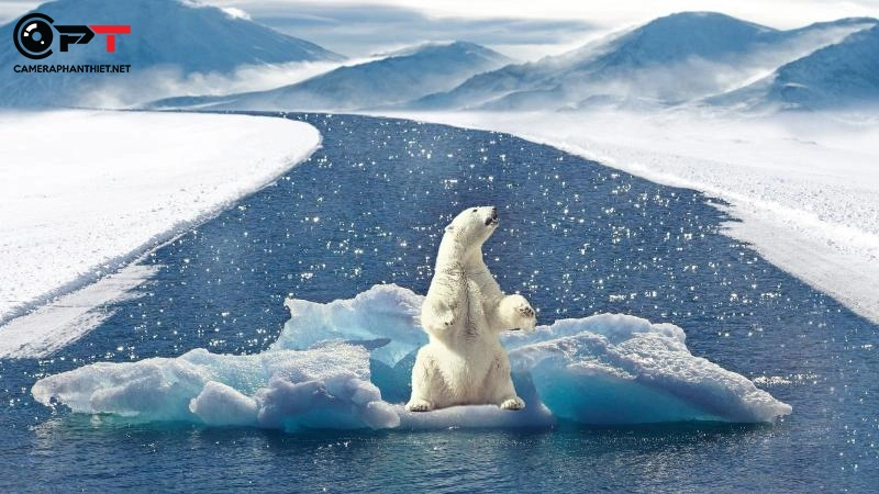 Những lợi ích khi sử dụng điện năng lượng mặt trời - 2707