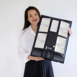 JD 5100 800w Đèn Đường Năng Lượng Mặt Trời Chính Hãng JINDIAN - Đèn bàn chải, liền thể