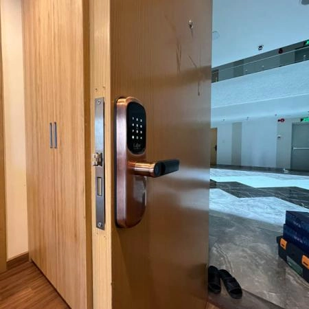 Ảnh sản phẩm Khóa vân tay LAFFER LX02 chuyên cho cửa gỗ, cửa phòng 5 tính năng mở khóa - hình 4