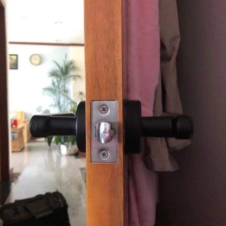Ảnh sản phẩm Khoá vân tay LAFFER T09 thay thế khóa tròn thông dụng - hình 4
