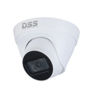 Camera IP Dahua DS2431TDIP-S2 4MP ảnh 