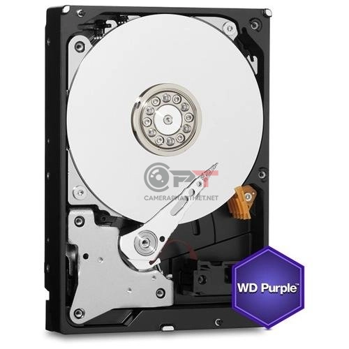 Ổ Cứng WD Purple 1TB WD10PURZ - Lựa Chọn Lý Tưởng Cho Hệ Thống Camera - 5366