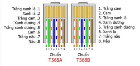 Cách bấm dây mạng chuẩn nhất theo chuẩn A và B - 5847