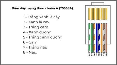 Cách bấm dây mạng chuẩn nhất theo chuẩn A và B - 5848