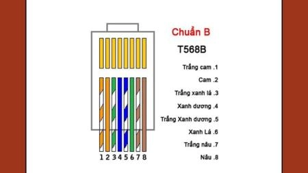 Cách bấm dây mạng chuẩn nhất theo chuẩn A và B - 5849
