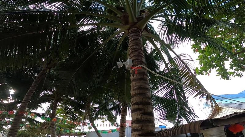 Những lưu ý khi chọn lựa camera an ninh lắp đặt gần biển - 5874