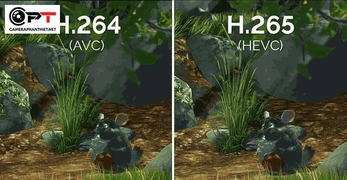 Giới thiệu tổng quan về Camera Imou A32 - 6259