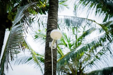 phù hợp cho các khu vực như resort, hồ bơi, bãi biển, sân vườn