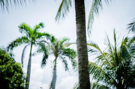 Lắp đặt ở những nơi có thời tiết khắc nghiệt