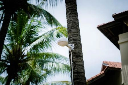 Thiết bị phát WIFI Ruijie