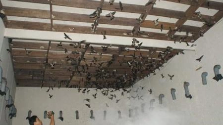 Nên lựa chọn giải pháp hoạt động ổn định
